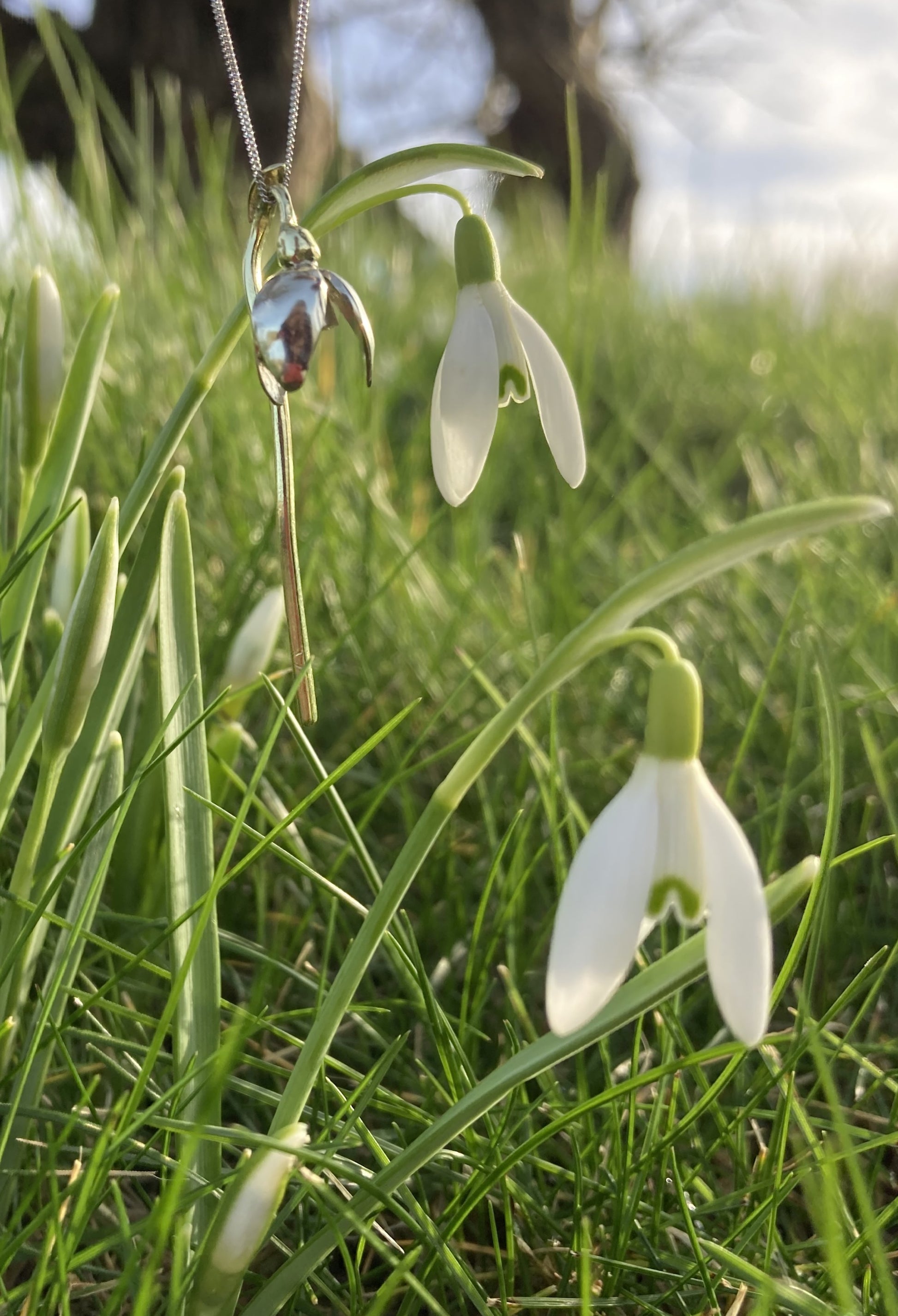 snowdrop pendant with real snowdrops