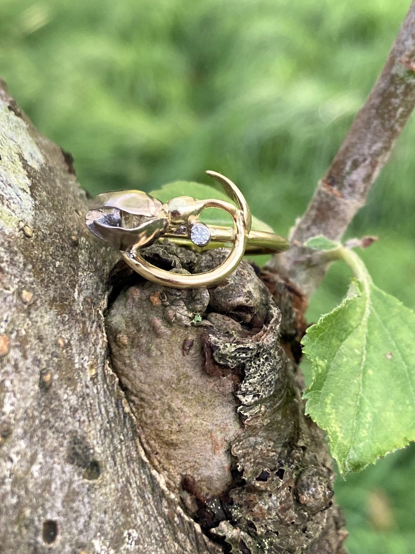 art nouveau style gold ring in shape of curving snowdrop set with small diamond on tree bark background