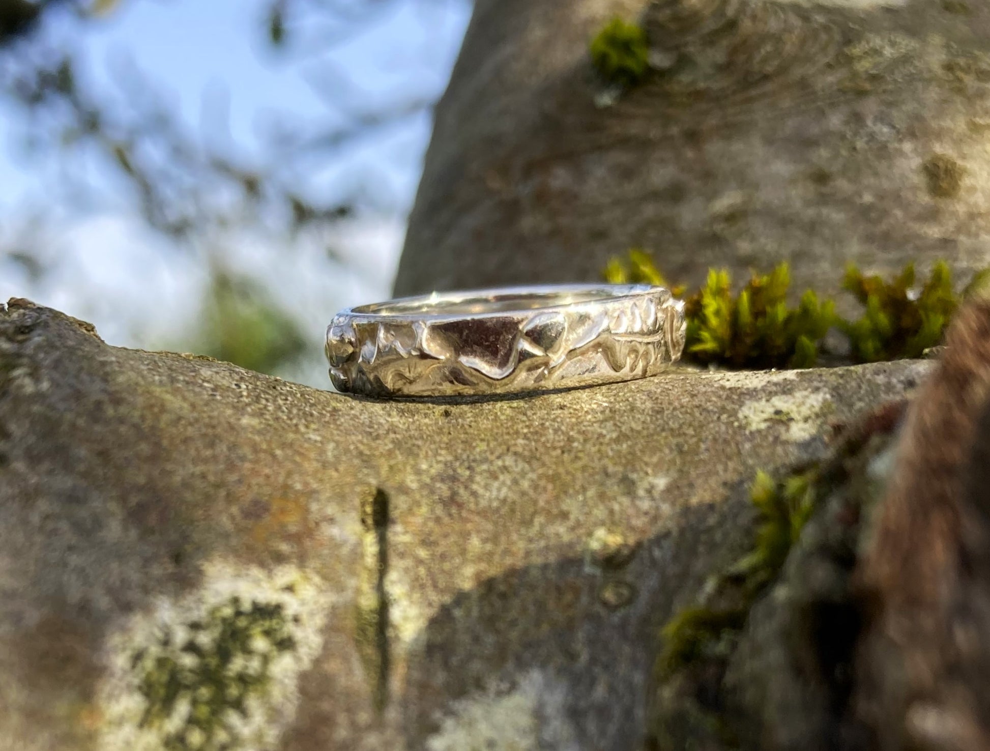 white gold ring with oak and acorn pattern in relief around the band.  Ring is on a tree branch