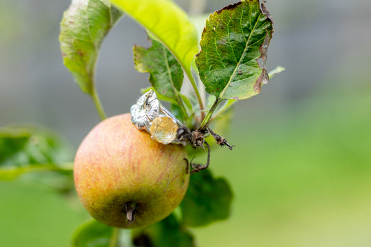 Citrine Rose de France Hibiscus cocktail ring