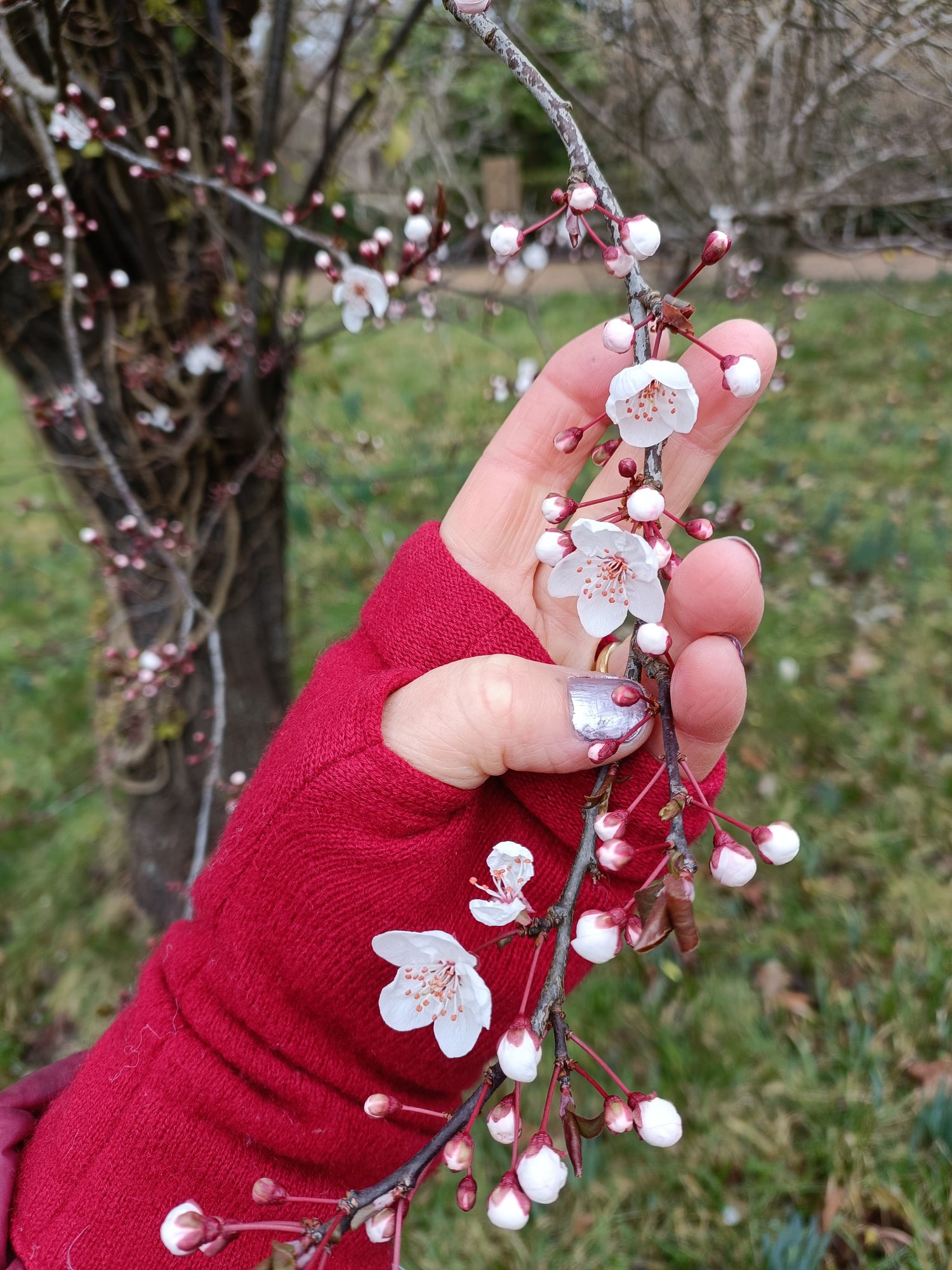 Pink Cherry Blossom Necklace