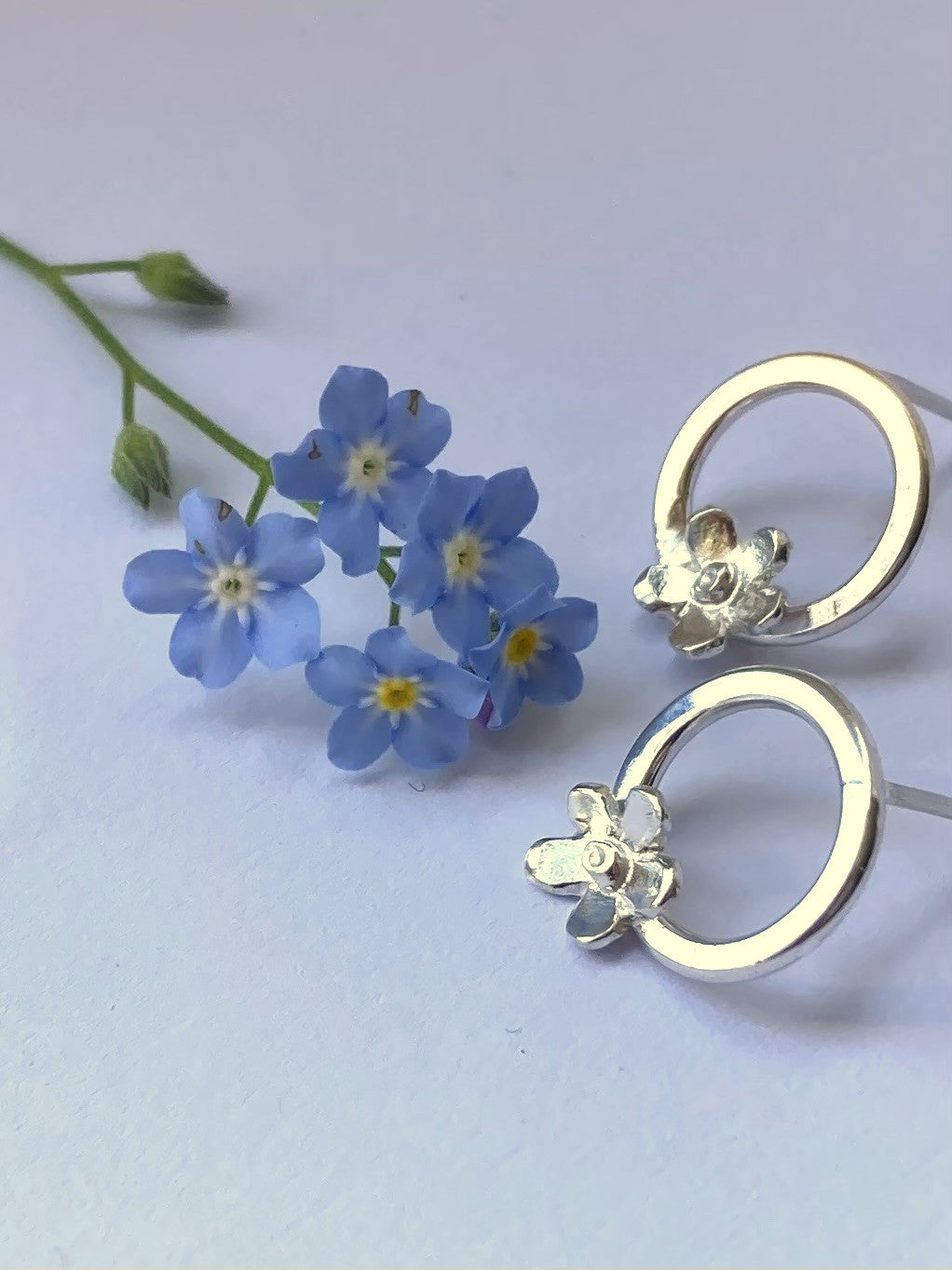real blue forget-me-not flower sprig with  silver circle and flower stud earrings