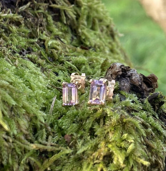 Ametrine purple and yellow gemstone gold stud earrings on moss