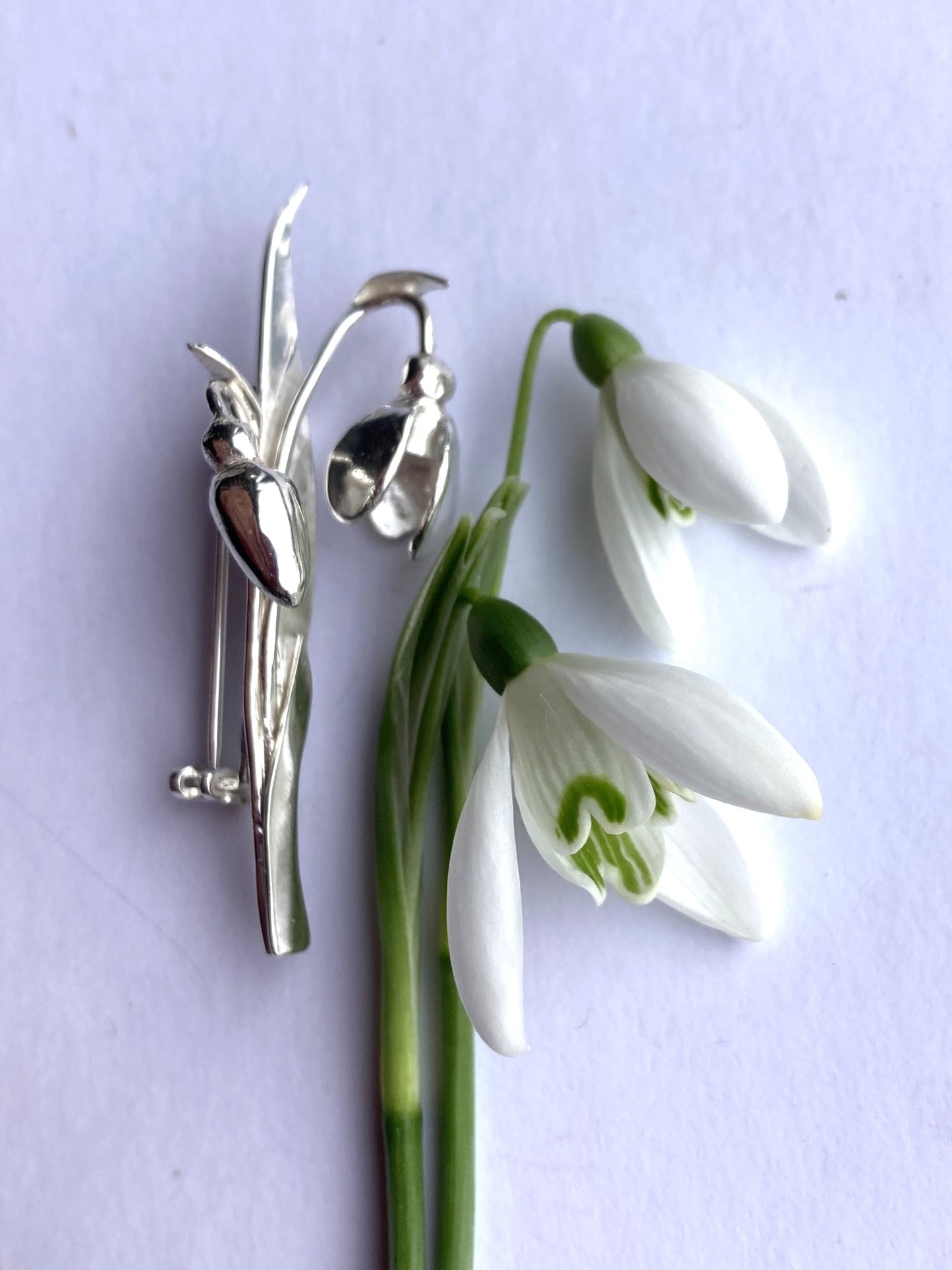Silver brooch resembling a snowdrop flower by Kim Styles Jewellery on a light purple background with real snowdrops